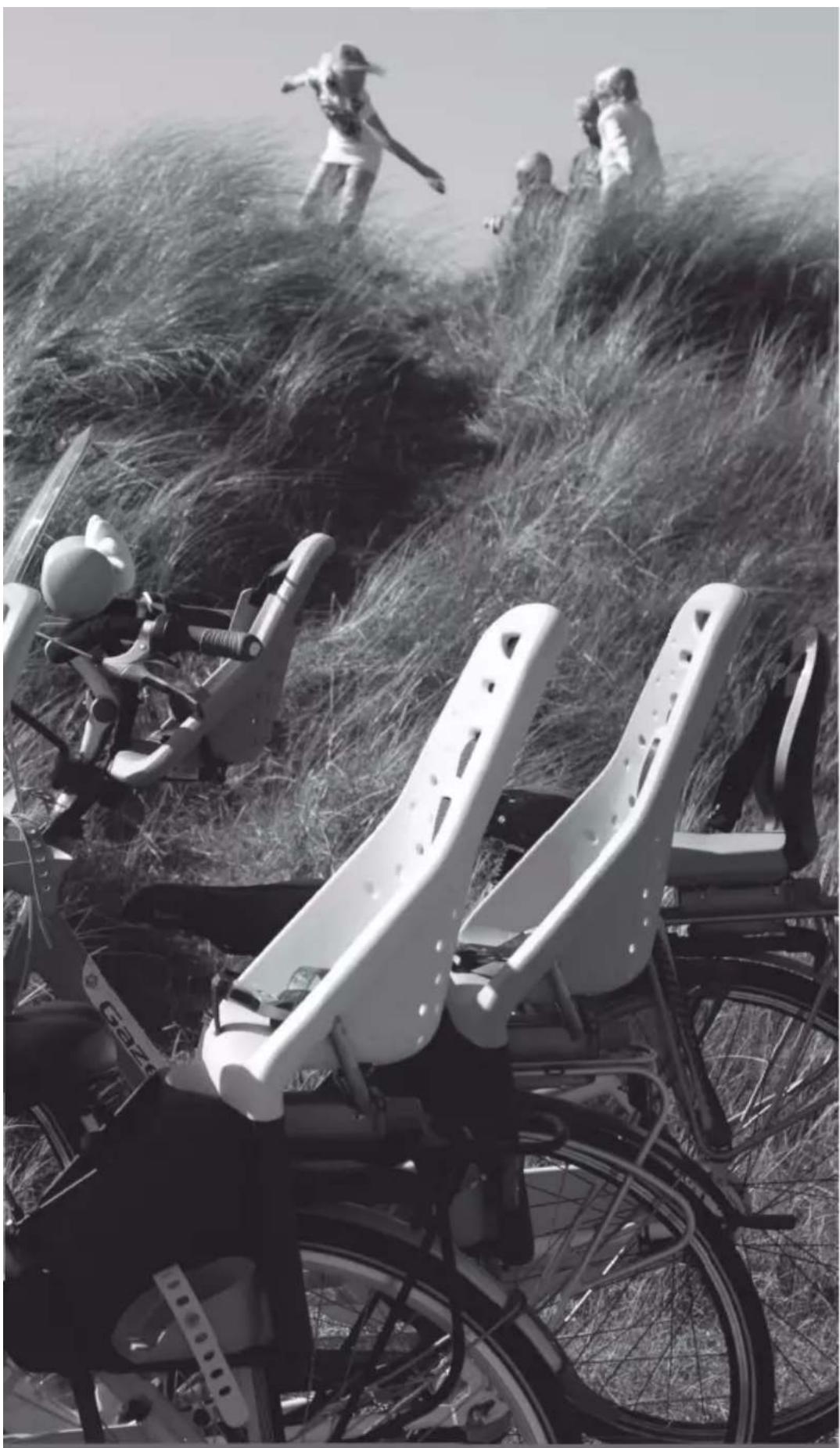 THULE Yepp Maxi EasyFit Carrier XL - Yepp awards - 3