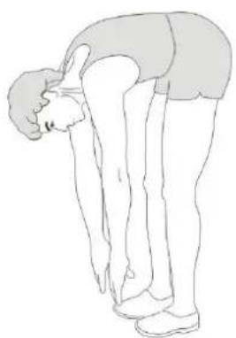 VirtuFit Elite TR500i - STEP02 - 12