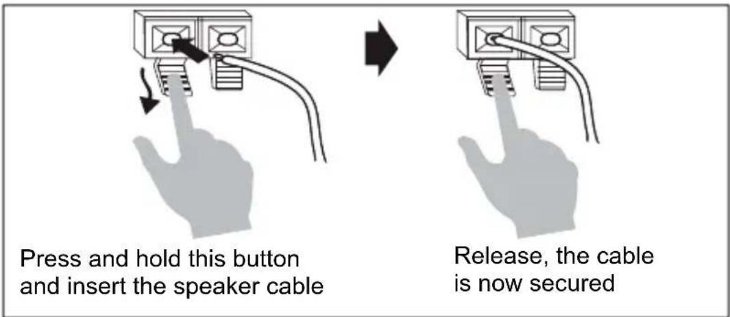 MARMITEK Surround Anywhere 221 - Transmitter (TX) - 2