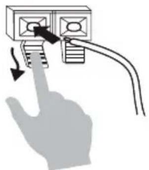 MARMITEK Surround Anywhere 221 - Transmetteur (TX) - 2