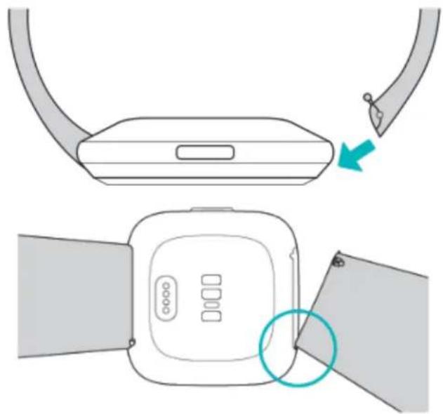 FITBIT Versa 2 - Attacher un bracelet - 1