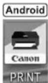 CANON Pixma TS9551C - Offnen Sie die installierte App. - 2