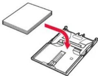 CANON Pixma TS9551C - Leggi papir. - 1