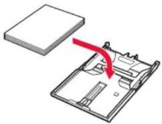 CANON Pixma TS9551C - Caricare la carta. - 1