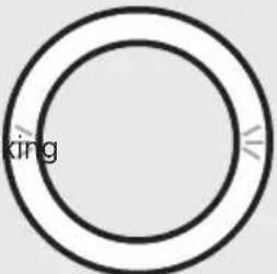 BOSE Portable Home Speaker - VOICE ASSISTANT STATUS - 4