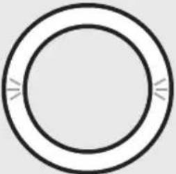 BOSE Portable Home Speaker - STATO DELL'ASSISTENTE VOCALE - 4