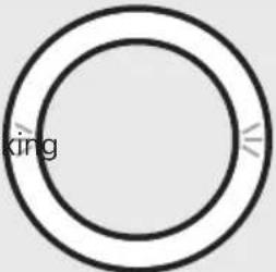 BOSE Portable Home Speaker - VOICE ASSISTANT STATUS - 10