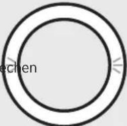 BOSE Portable Home Speaker - STATUS DES SPRACHASSISTENTEN - 10