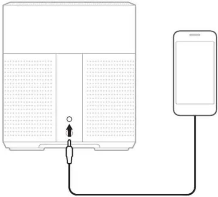 BOSE Home Speaker 300 - gai jyj - 1