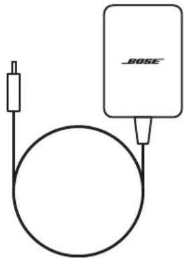 BOSE Home Speaker 300 - BOSE - 1
