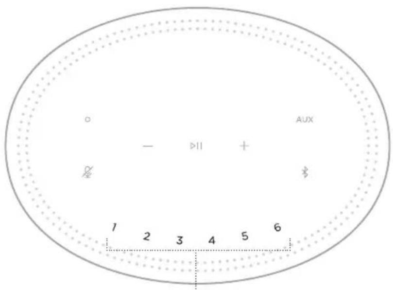BOSE Home Speaker 300 - FRISETT - 1