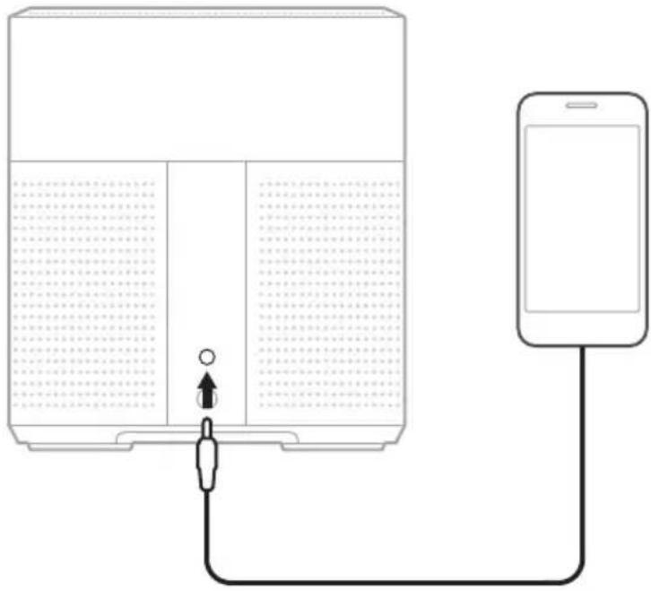 BOSE Home Speaker 300 - 連接音訊連接線 - 1