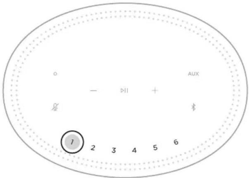 BOSE Home Speaker 300 - sapan - 1