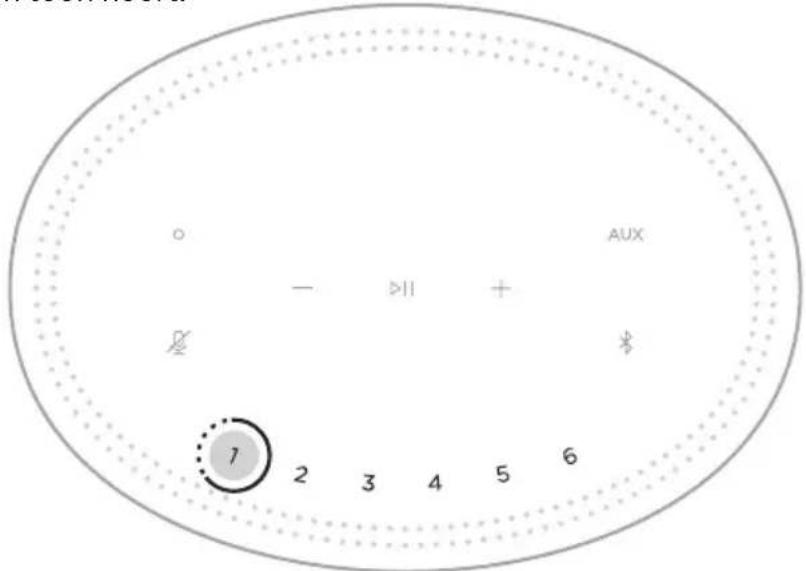 BOSE Home Speaker 300 - EEN VOORKEUR INSTellen - 1