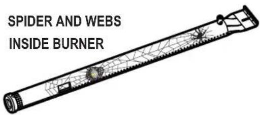 CHAR BROIL Patio Bistro 180B - SPIDER ALERT! - 1