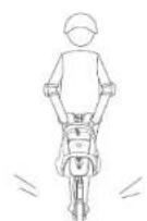 SEGWAY Ninebot KickScooter MAX G30 - ADVERTENCIA - 9