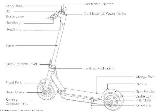 SEGWAY Ninebot KickScooter MAX G30 - Riding Safety - 6