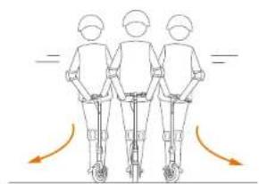 SEGWAY Ninebot KickScooter MAX G30 - WARNING - 13