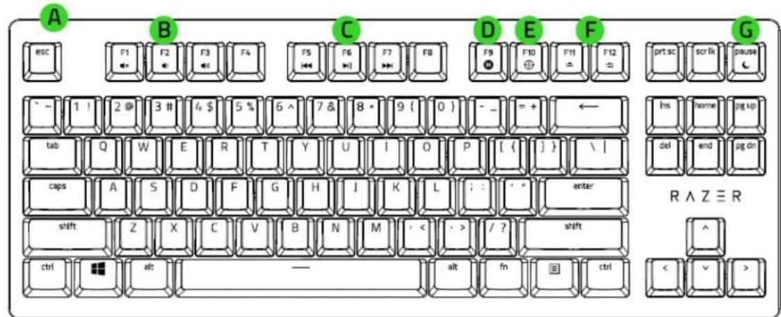 RAZER Huntsman TE - 子 - 1