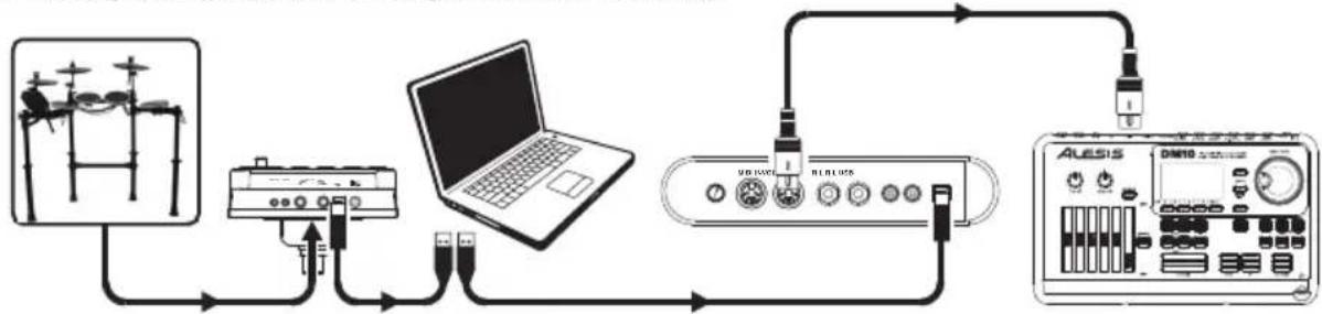 ALESIS DM LITE - como disparar sonidos en un dispositivo MIDI externo - 1