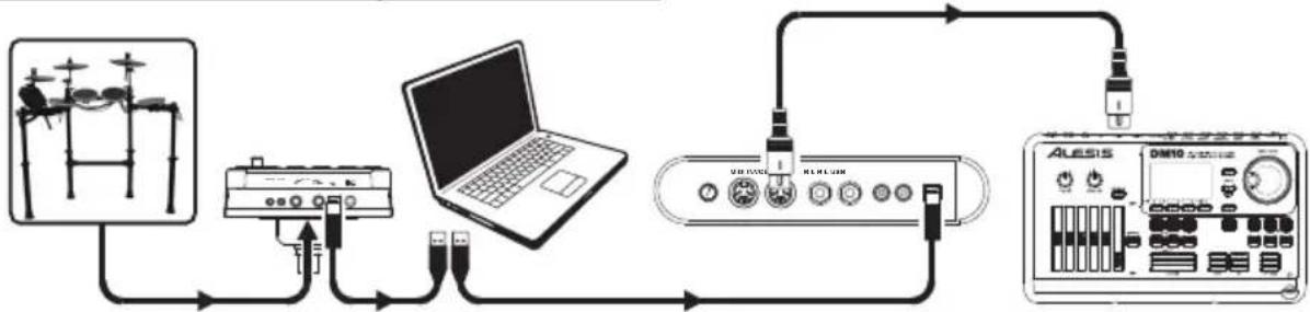 ALESIS DM LITE - Attivazione di suoni su un dispositivo MIDI esterno - 1