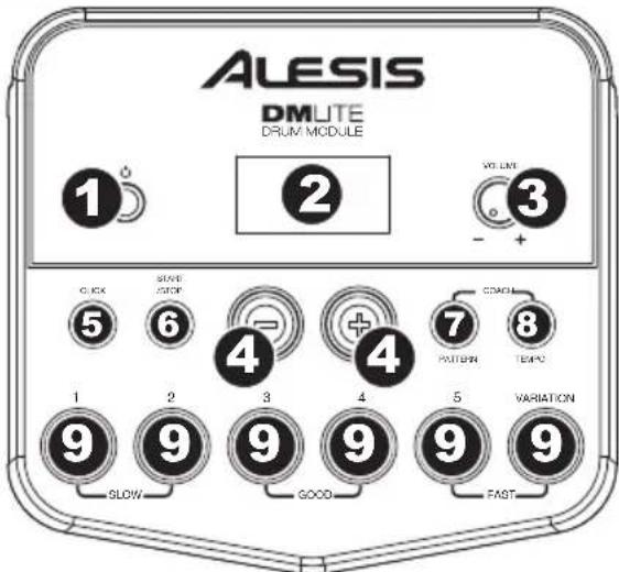 ALESIS DM LITE - Panel frontal - 1