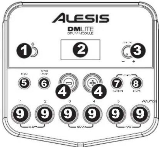 ALESIS DM LITE - Rückseite - 1
