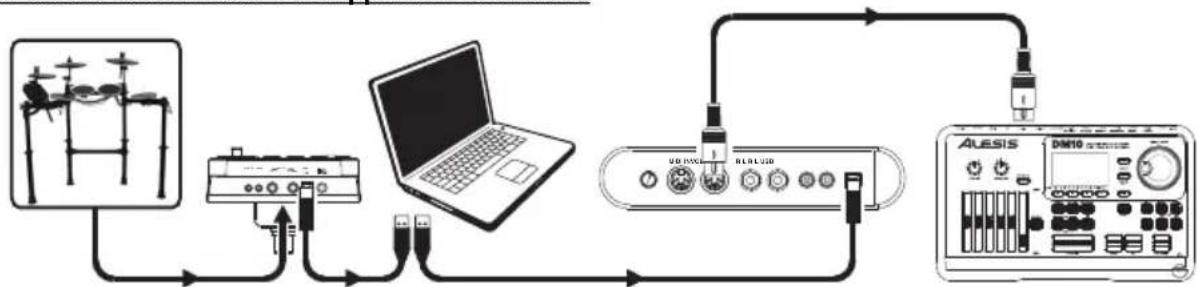ALESIS DM LITE - Déclencher dessons sur un appareil MIDI externe - 1