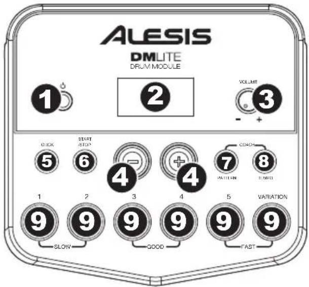 ALESIS DM LITE - Rear Panel - 1