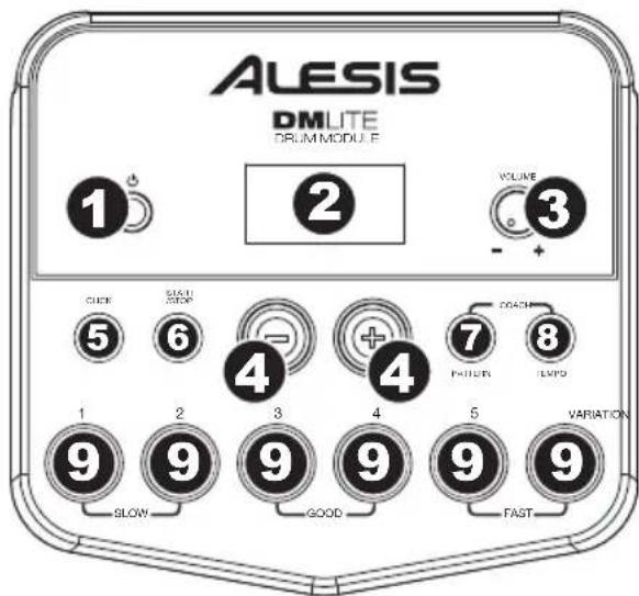 ALESIS DM LITE - Pannello posteriore - 1