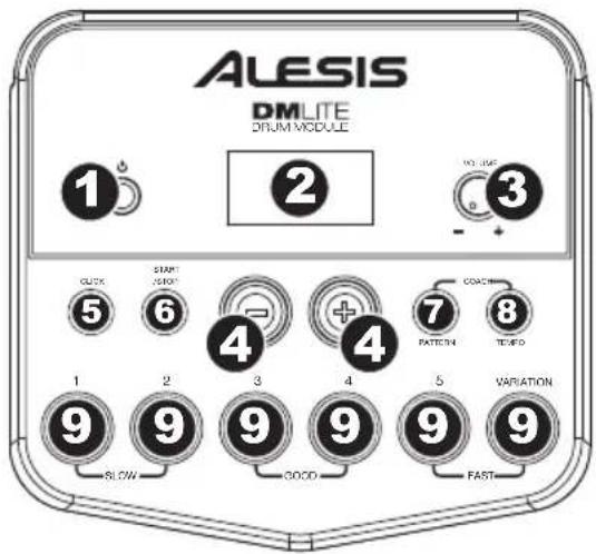 ALESIS DM LITE - Panneau arrête - 1
