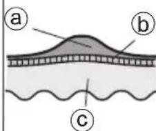 PANASONIC ESDEL8A - Borkemenyedes - 1
