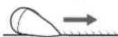 PANASONIC ERGD51 - Ohne Aufsatz - 3