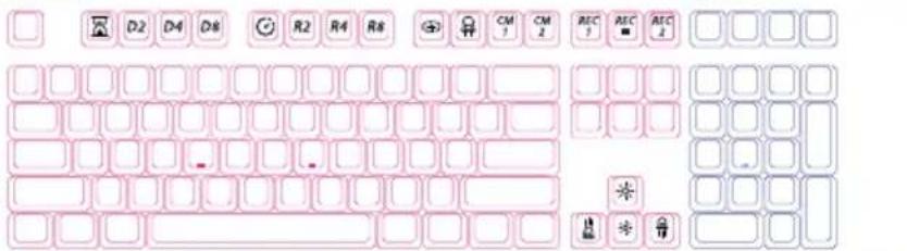 D2 D4 D6 R2 R4 R8 CM CM REC REC REC * * *