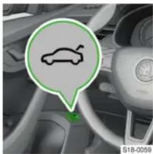 SKODA Scala (2019) - Πλήκτρο στην πόρτα - 1