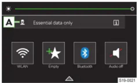 Essential data only WLAN Empty Bluetooth Audio off S19-0021