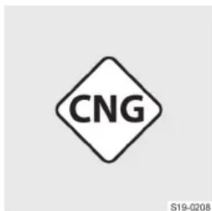 CNG S19-0208