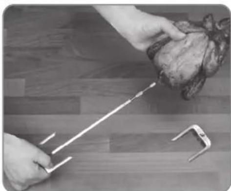 Gourmetmaxx 00974200125 - Draaispit gebruiken - 1