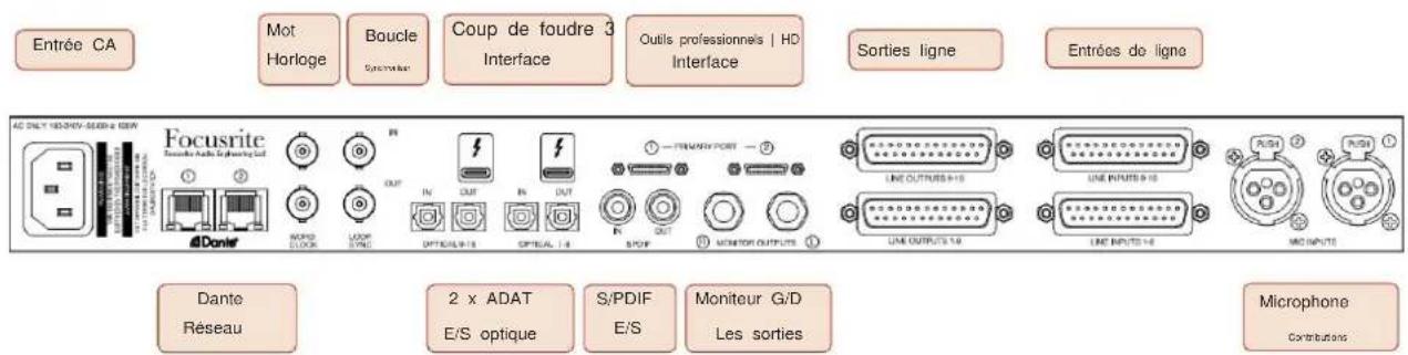 FOCUSRITE Red 4Pre - Panneau arrière - Rouge 4Pre / Rouge 8Pre - 2