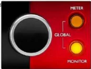 FOCUSRITE Red 4Pre - Muet et Dim - 1