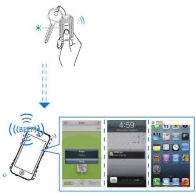 PHILIPS InRange Bluetooth Smart Leash AEA1000 - Localisation de votre iPhone 4S/iPhone 5/nouvel iPad ou appareil InRange - 1