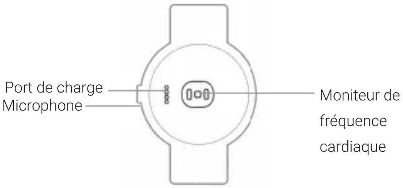TicWatch E2 - Accessoires et apparcence - S2/E2 - 1