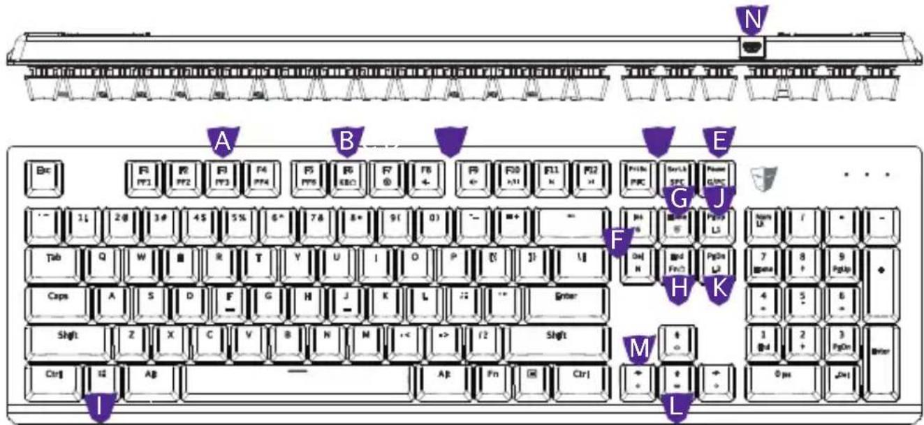 Tesoro Gram SE Spectrum - Key Features - 1