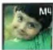 Fysic FM50 - 2.2Touches: - 6