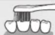 PANASONIC EWDP52 - Surface avant et surface de morsure des dents - 2