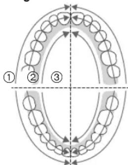 PANASONIC EWDP52 - Pressione ligeiramente e mova a escova de dentes contra os dentes. - 1