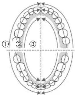 PANASONIC EWDP52 - Premere leggermente e muovero lo spazzolino contro i denti. - 1