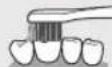 PANASONIC EWDP52 - Superficie anteriore e superficie masticatoria dei denti - 2