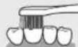 PANASONIC EWDP52 - Superficie delantera y la superficie de mordida de los dientes - 2