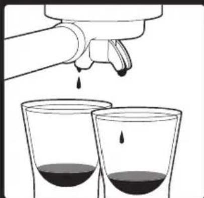 SAGE the Barista Express BES875 - TION - 3